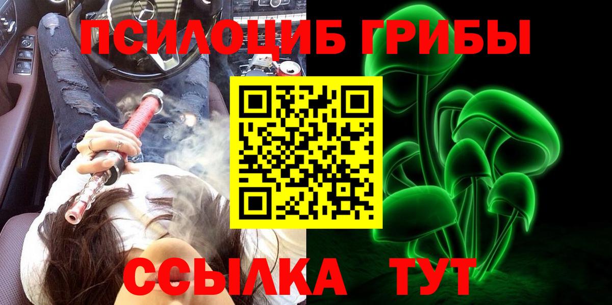 Бирск  Псилоцибиновые грибы Psilocybe  Вход с VPN  Псилоцибиновые грибы GOLDEN TEACHER 
